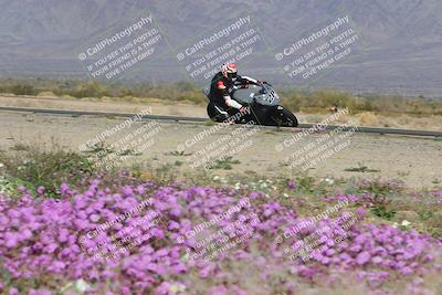 media/Feb-04-2023-SoCal Trackdays (Sat) [[8a776bf2c3]]/Turn 15 Inside Blooming (1050am)/